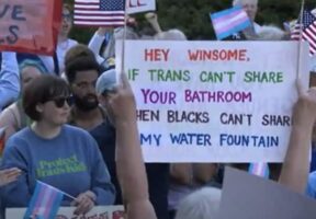 Liberal White Woman Shows Her Jim Crow Colors
