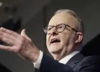 Australia Speeds Up the Rush to Net Zero