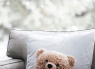 Pseudoscience Alert! They’re Coming for Our Teddy Bears