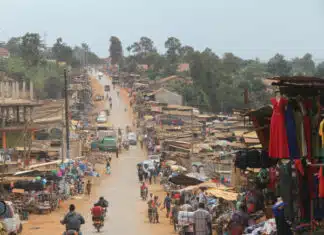 Zohran Is Really Going to Make NYC Uganda & NYT Loves Him