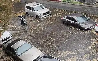 Who Needs Sewers When You Can Have Free Buses in NYC?