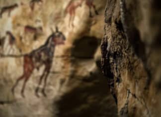 Scientists May Have a Drawing of a Creature No One Knew About