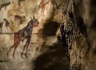 Scientists May Have a Drawing of a Creature No One Knew About