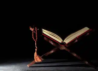 The 1991 Muslim Brotherhood Strategy of Civilizational Jihad