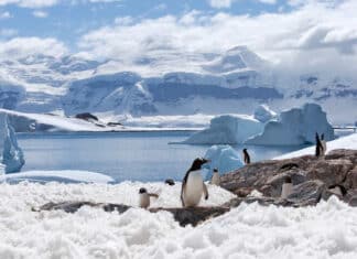German Report: South Pole Climate Contradicts CO2 Theory