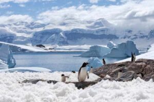 German Report: South Pole Climate Contradicts CO2 Theory