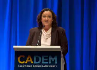 Katie Porter Is Running as a Karen for California Governor