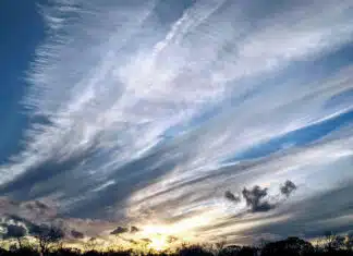 What’s Going on in the Sky? Chemtrails & Geoengineering