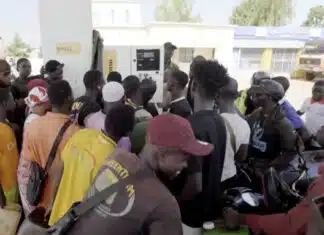 Mali Is Falling to Al Qaida as the World Grows More Dangerous