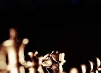 The Next Hoax: CIA Tactics Normally Reserved for Foreign Countries?