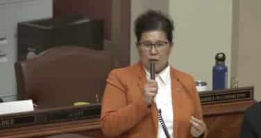 Potential Illegal Immigrant Is Mayor of St. Paul