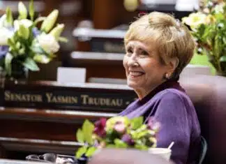 Washington State Senator Moves to Protect Somali Daycares from Investigations