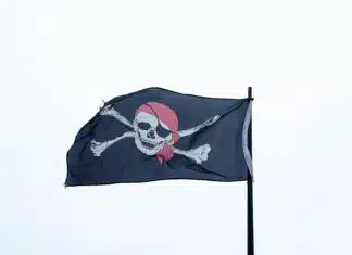 Stephen Miller Cuts Throught the Noise on Alien Thievery