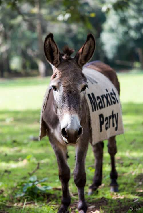 Truth Must Be Told About the Anti-American Democrat Party