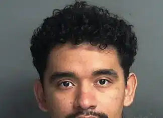 Father Saves His Teen Daughter from a Predator