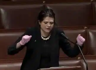 New Kabuki Theater Drama: Impeachment of RFK Jr.