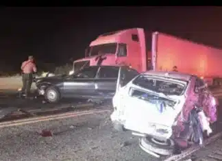 Another Criminal Illegal Alien with a CDL Kills Newlyweds