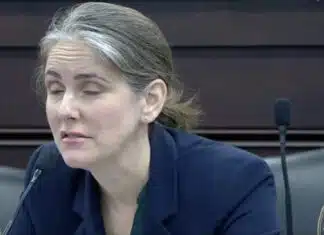 White Lib Wants to Teach Anti-Whiteness, Grades K-12