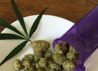 President Trump’s Worst Mistake