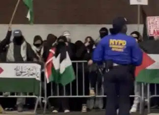Radicals Scream Support for Hamas in Zohran’s NYC