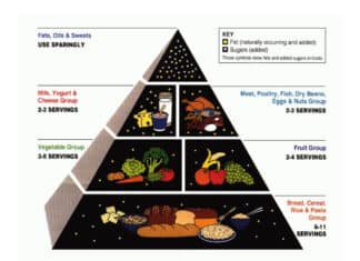 The New Dietary Guidelines