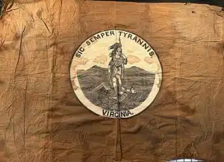 Virginia Okays Gerrymandering, to Pick Up 10 of 11 Seats