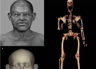 A 4500-Year-Old Body Unlocks a Secret of Ancient Civilization