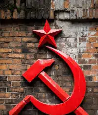 The Marxist-Leninist Network That Put Alex Pretti in Harm’s Way