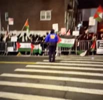 Democrats Suddenly Condemn Hamas/Palestine Radicals