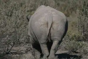 James Woods: “Don Lemon Is the Dingleberry Clinging to the Ass of American Journalism.”