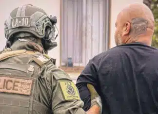 The Dogfight That Led to Todd Lyons Facing Contempt Charges