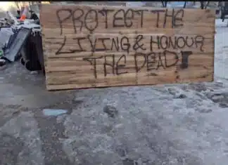 ICE Puts Up Barricades & So Do the ‘Mostly Peaceful’ Protesters