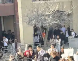 Summit County’s Crazed Anti-ICE Children & Mommies