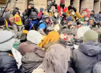 Democrat Insurrectionists and the Pinko American Revolution