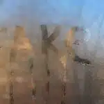 The Theory and Practice of Sanctuary Cities and States