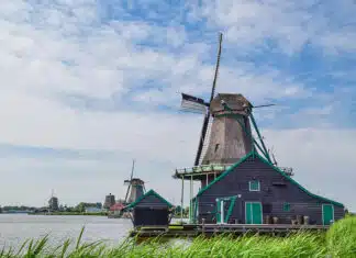 Dutch Left-Wing Government Will Tax Unrealized Gains 36%