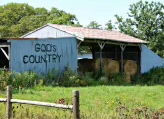 Massive Solar Farm Approved in the Middle of Amish Country in New York