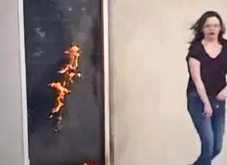 Leftist Lunatic Woman Tries to Burn Down a Warehouse Over ICE