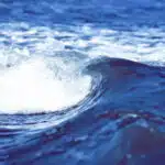 Exposure Season: Debunking Blue Wave Fraud