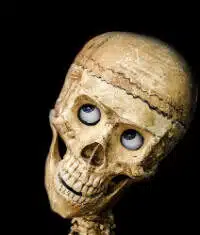 Massie & Khanna List Buffoonery: 4 of the 6 Had Nothing, Nada, Zip, Zilch to Do With Epstein