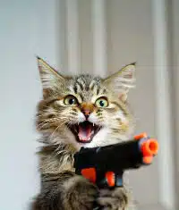 How Many Civilian-Owned Guns in the USA in 2026?