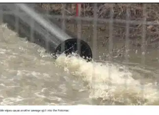 No One Is Talking About the Virginia Catastrophe