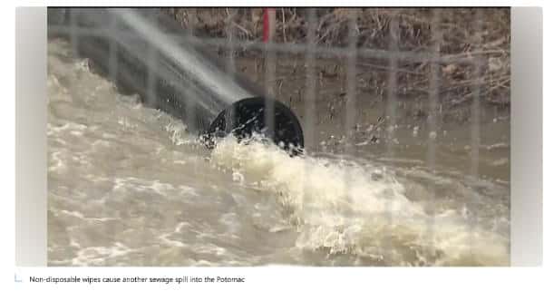 No One Is Talking About the Virginia Catastrophe