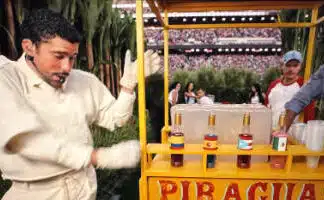 Bad Bunny Praised for Sharing His Rich Puerto Rican Culture: Here Are the Words to His Songs