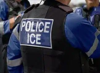 Two ICE Agents Appeared to Have Lied About Minnesota Shooting