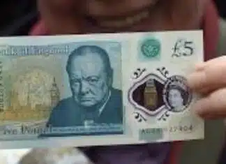 Brits Will Replace Heroes on Their Money With Animals
