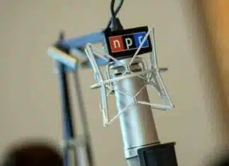 Judge Orders Taxpayers to Fund NPR & PBS Under the 1st Amendment