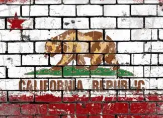 California Gubernatorial Debate Canceled Because Candidates Are White