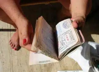 A Proposed Bill Would Track H-1B Professors and Students