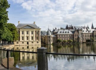 Progressives Suggest Putting Trump on Trial in The Hague